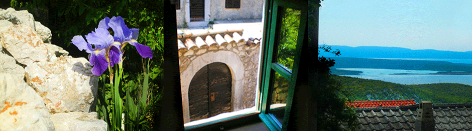 Banner Window